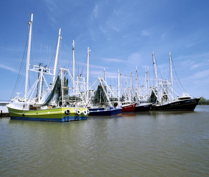 louisiana-tom-mua-thu-2026