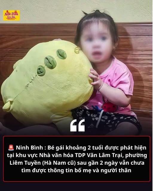 file.jpeg2026-09-12T094249.788Z.jpg
