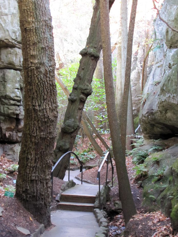 rock-city-chattanooga-lookout-mountain