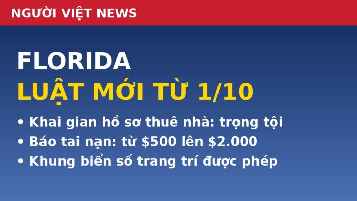 florida-luat-moi-1-10